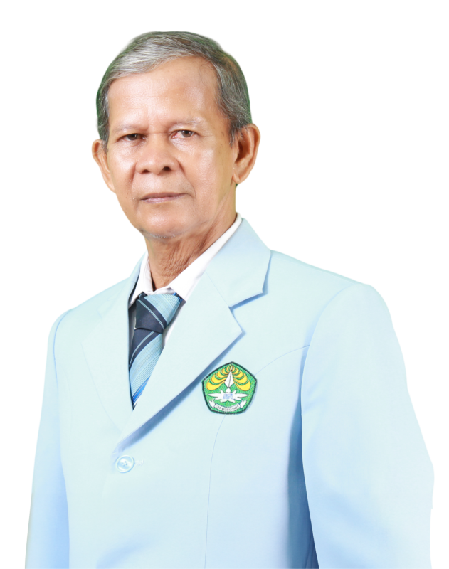 WAHYU HAMIDI